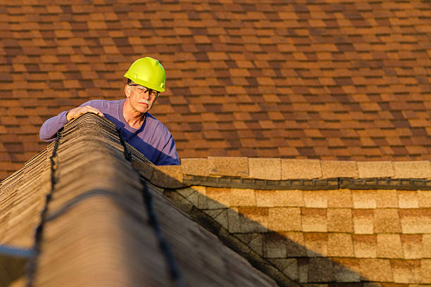 Roof Gutter Cleaning in Pelham, AL